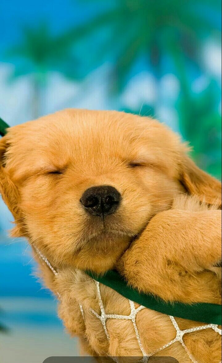 cute