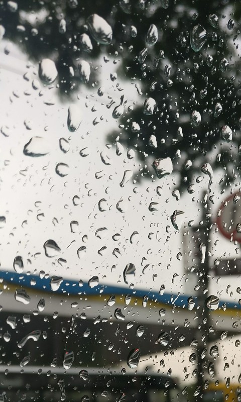 Rains