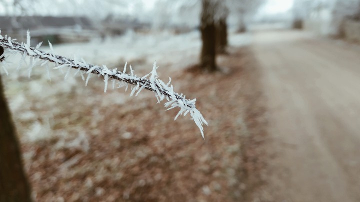 Winter