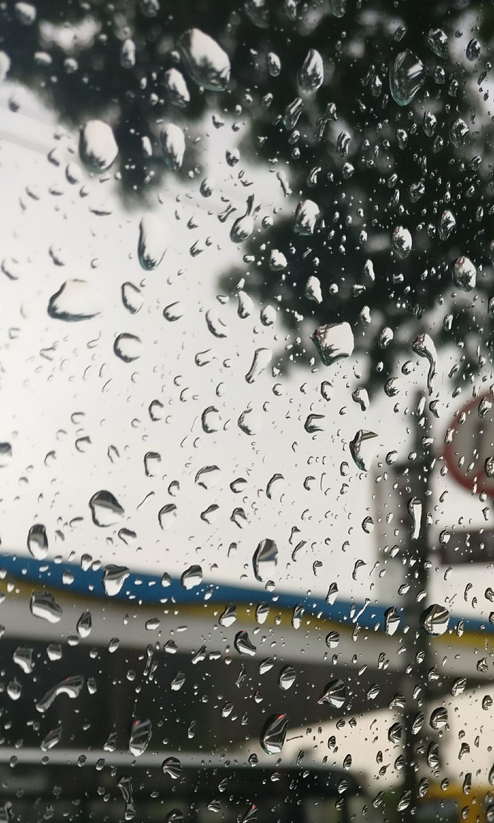 Rains