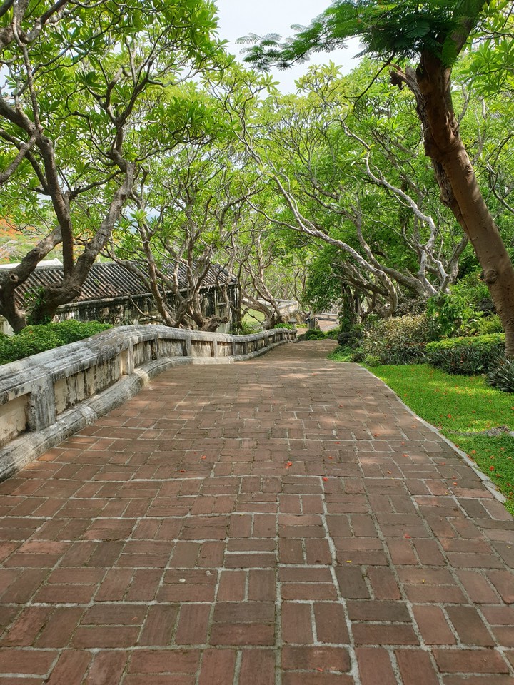 Serene and beautiful pathway