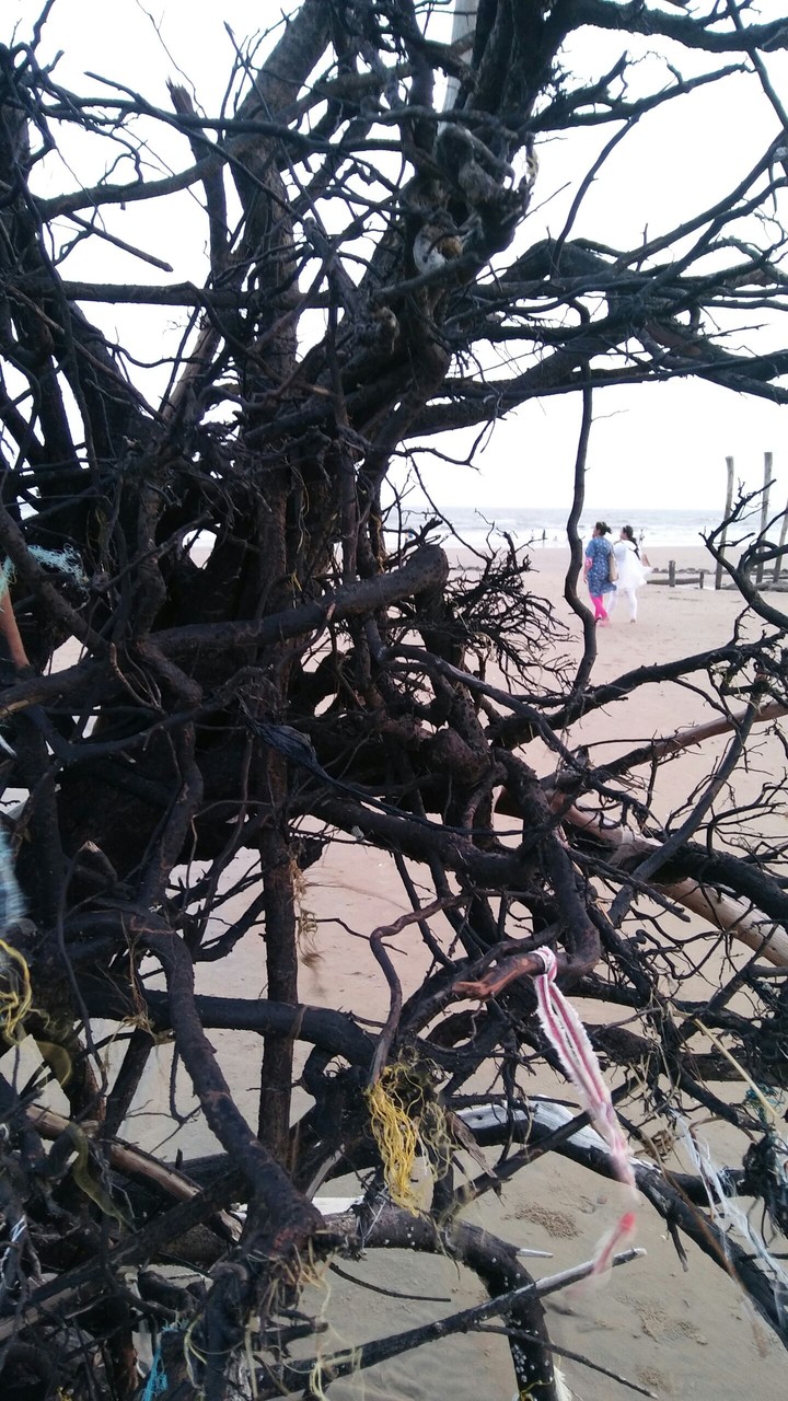 beach