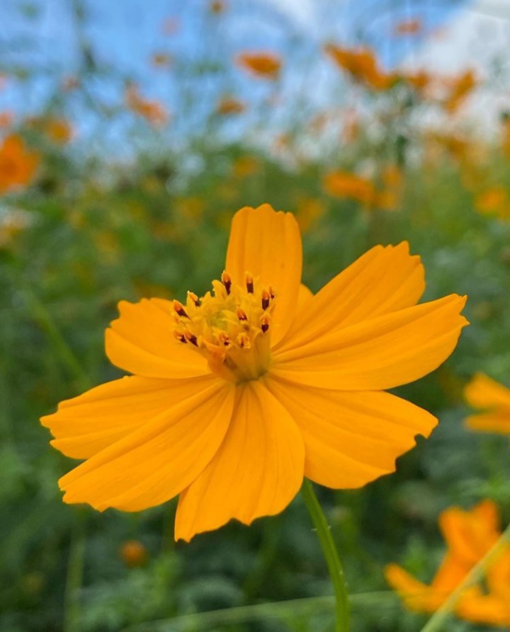 ღ✿◠‿◠✿ღ