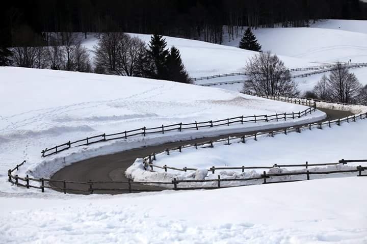 Snow by Nella Attilio