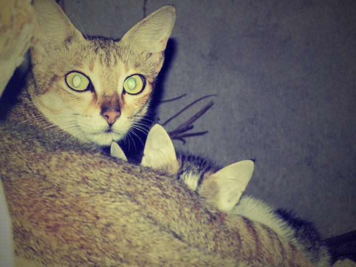 mom nd son