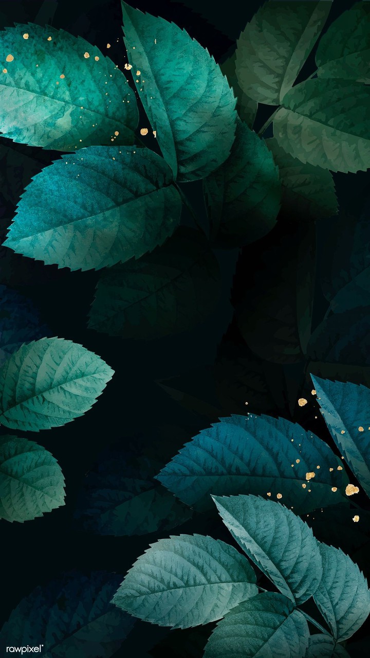 shimmer wallpaper