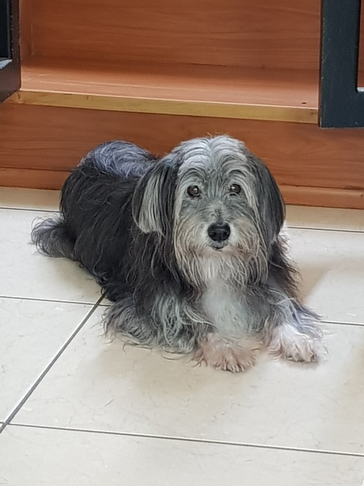 17 years and counting