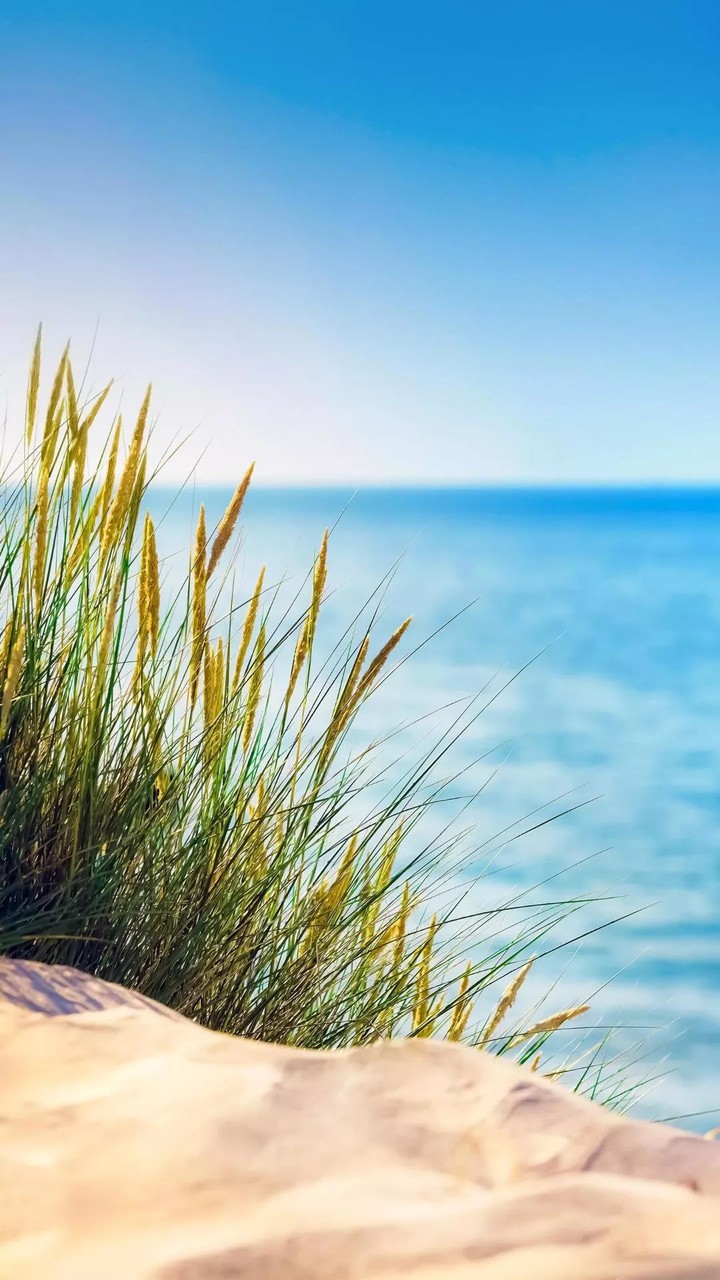 sea