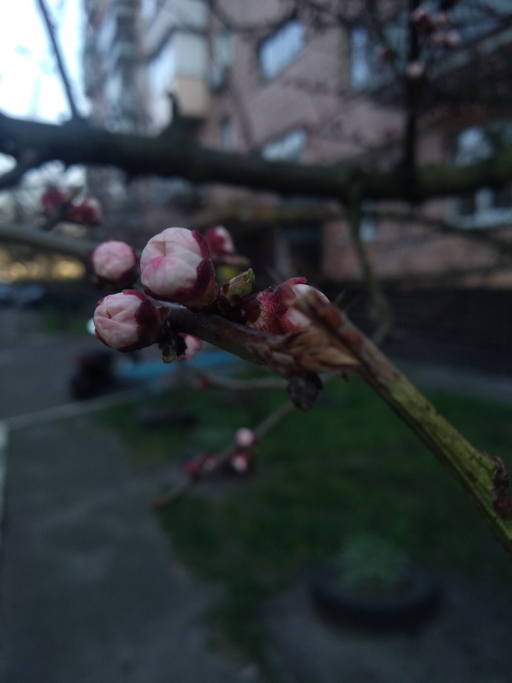 Spring