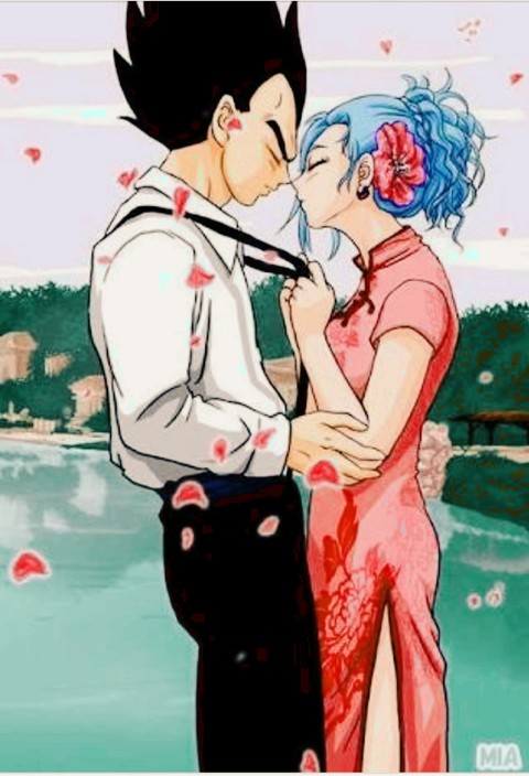 vegeta & bulma