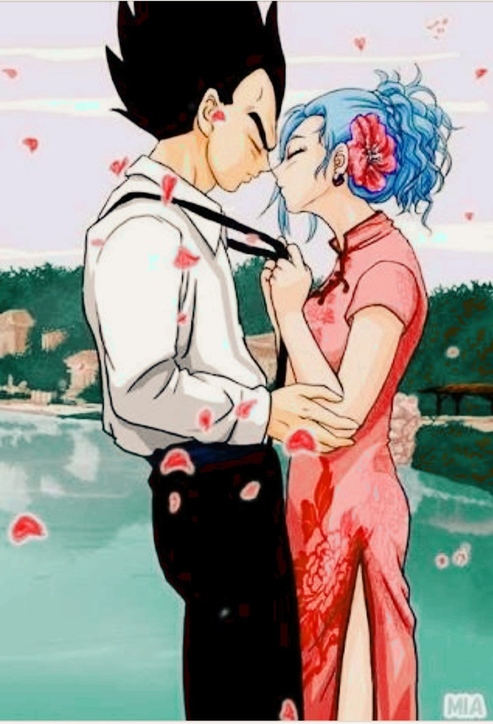 vegeta & bulma