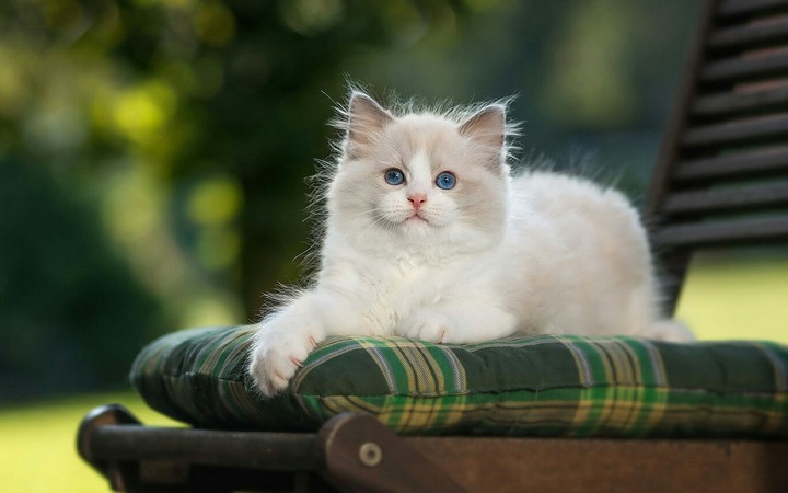 cute❤