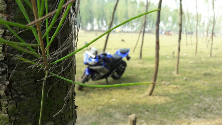 yamaha r15 gp blue