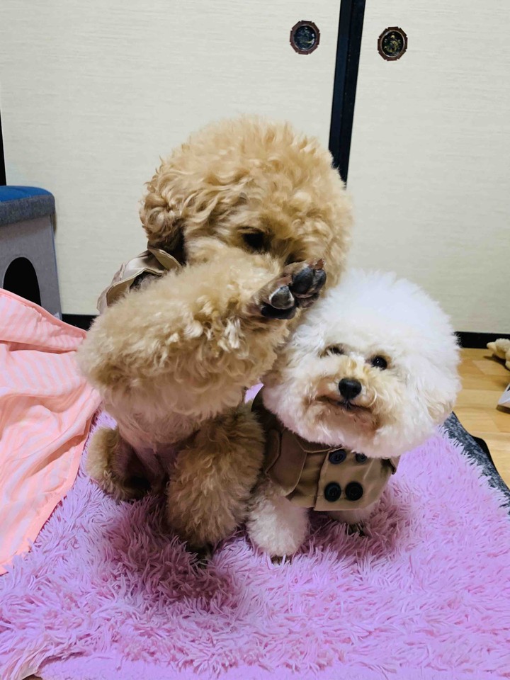 Lucky & Money