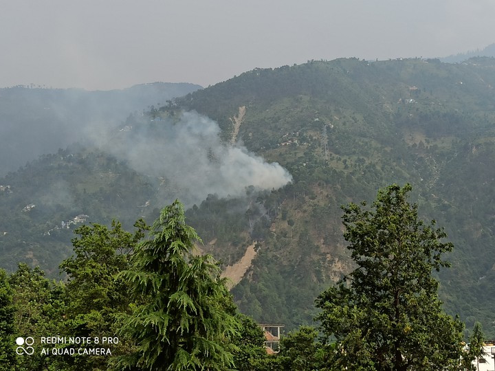 Smokey mountain during summer ???️