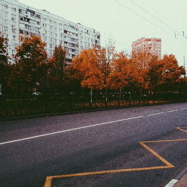 Autumn