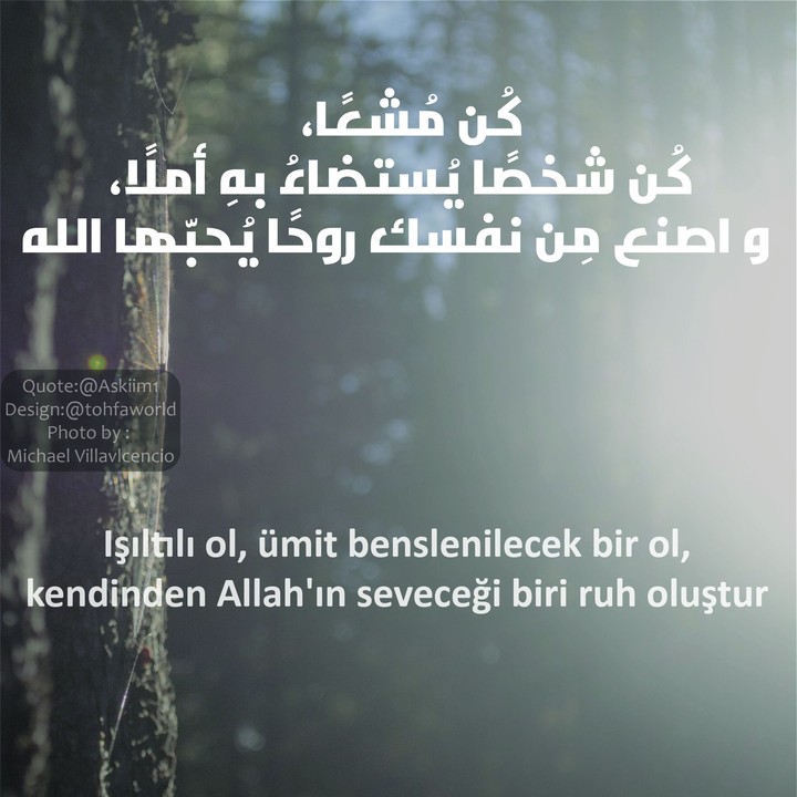 Arabic- turkish quote 3