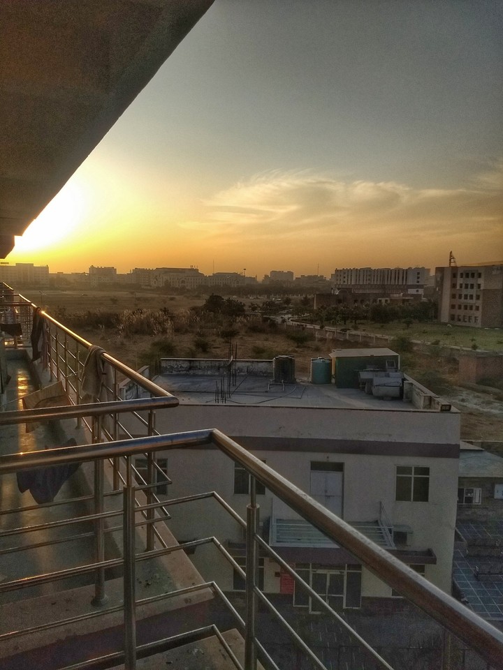 SunnyWinters