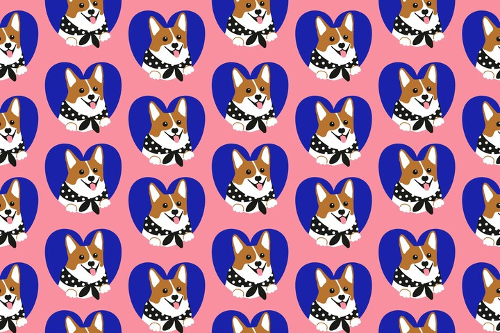 dogs!