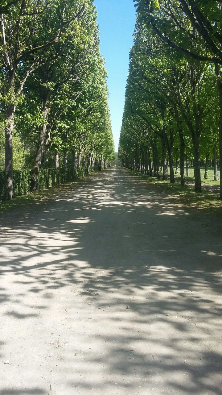 Beautiful Day