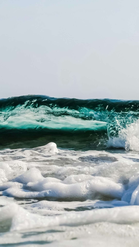 sea
