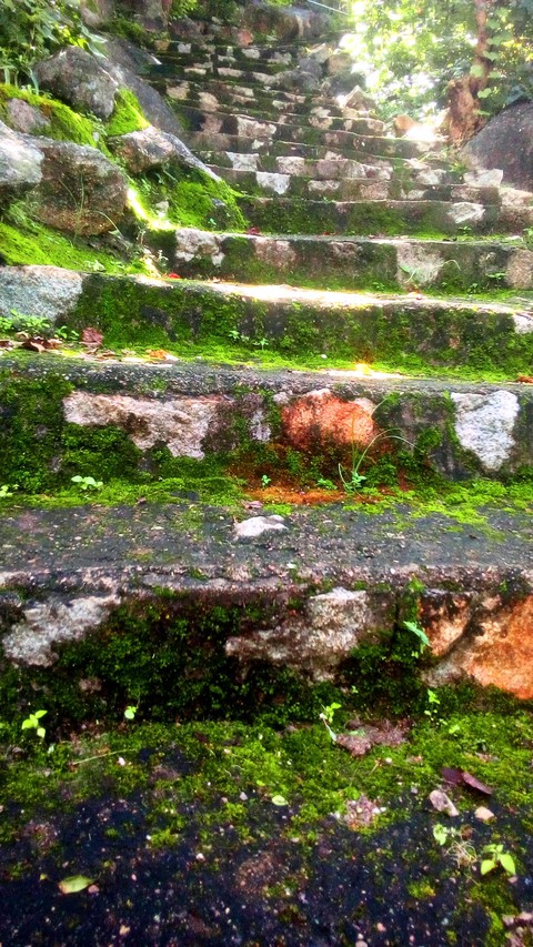 nature hill