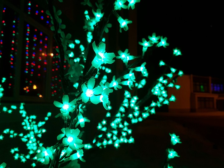 Light in the darkness.