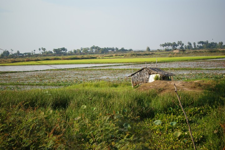 Village