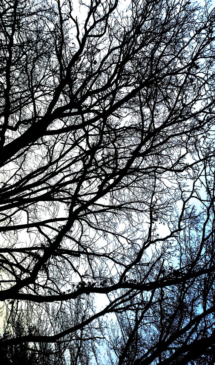 cold day in spring