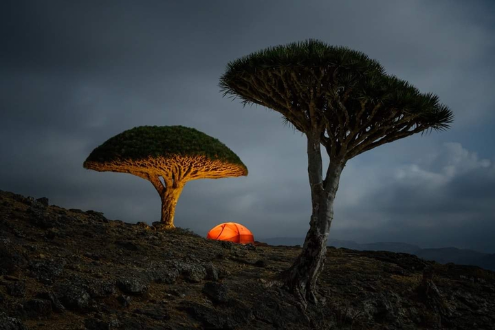 #YEMEN #SOCOTRA_ISLAND