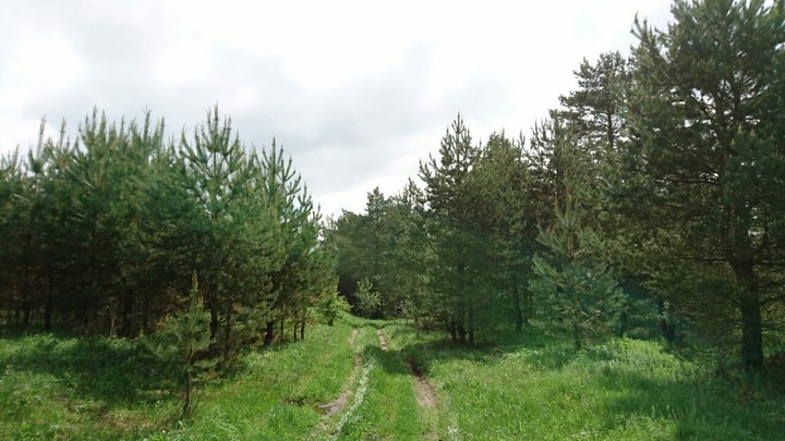 my weekend)