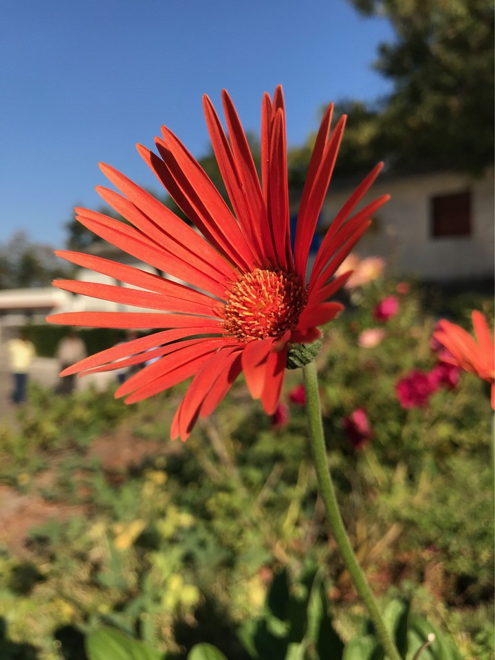 shot on iphone 7