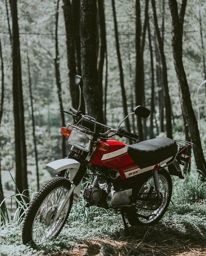 honda win