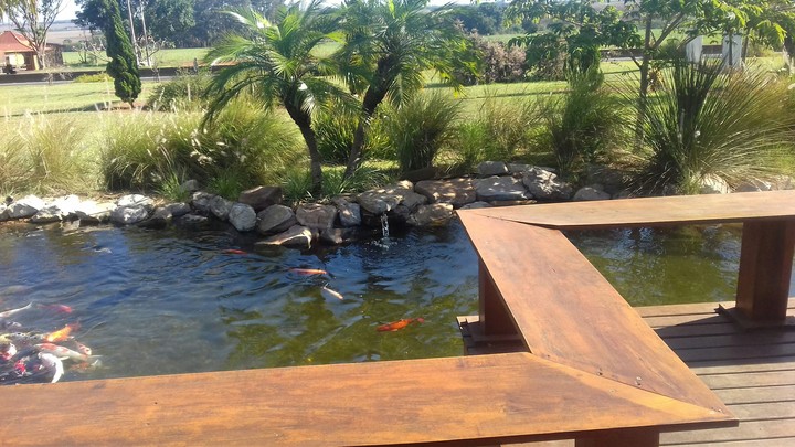 Paisagem Peixes