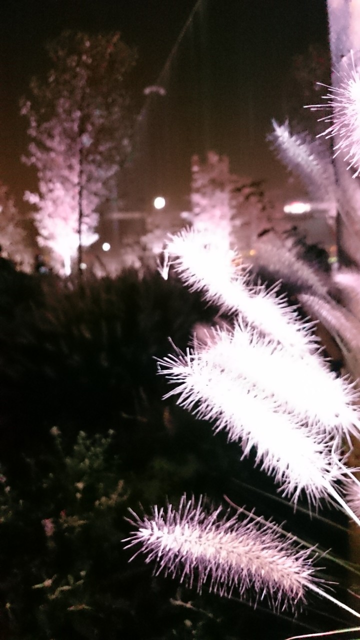 Electric wave
