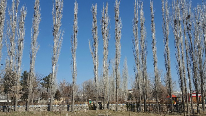 iran ,abhar