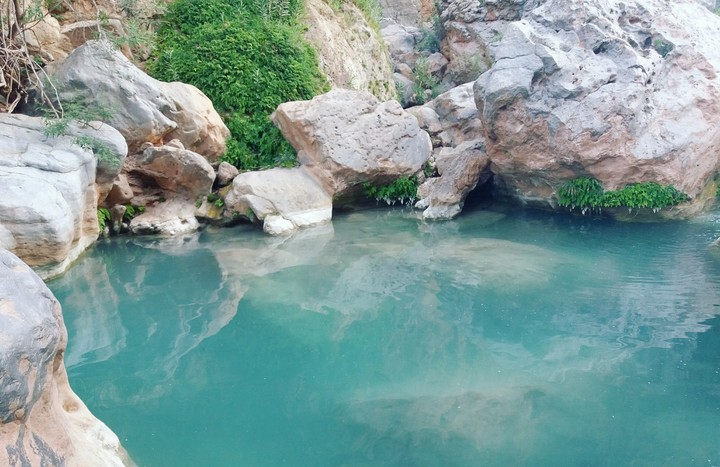 nature