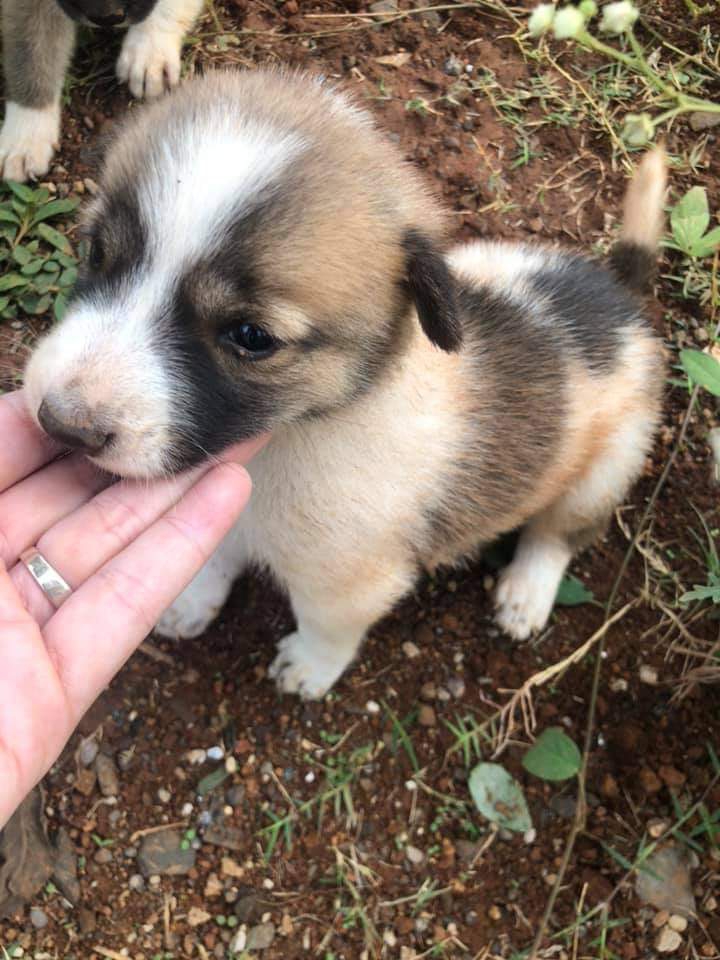 little love ?