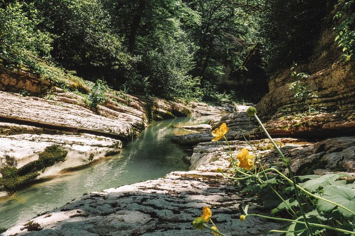 Mountain river