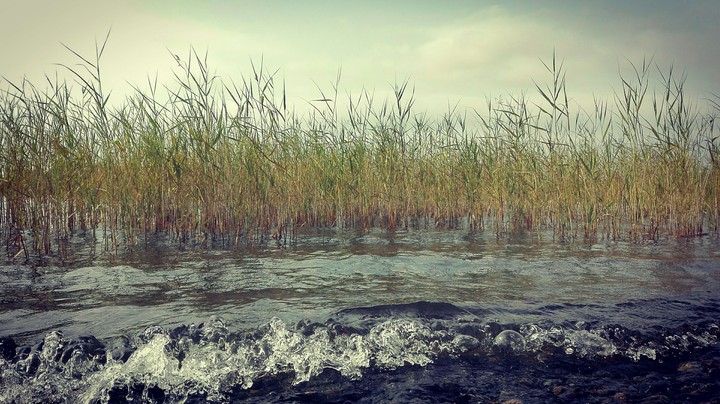 water