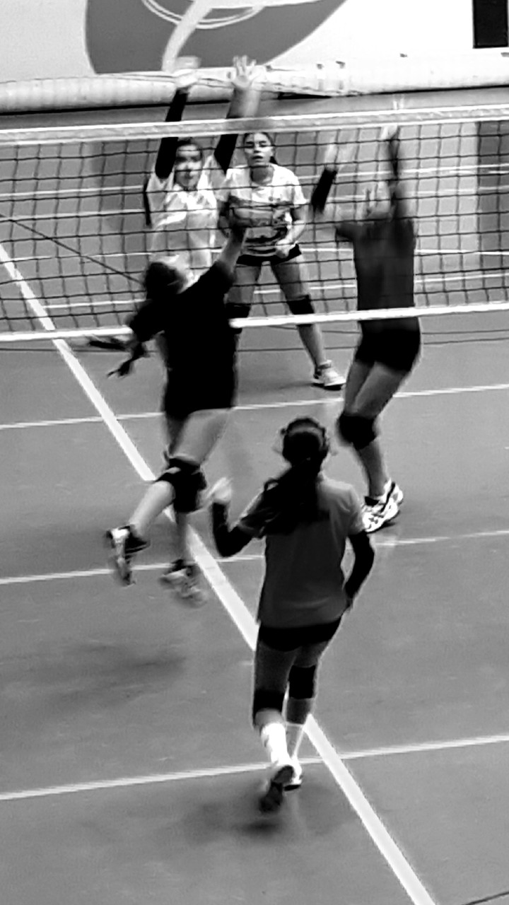 voley