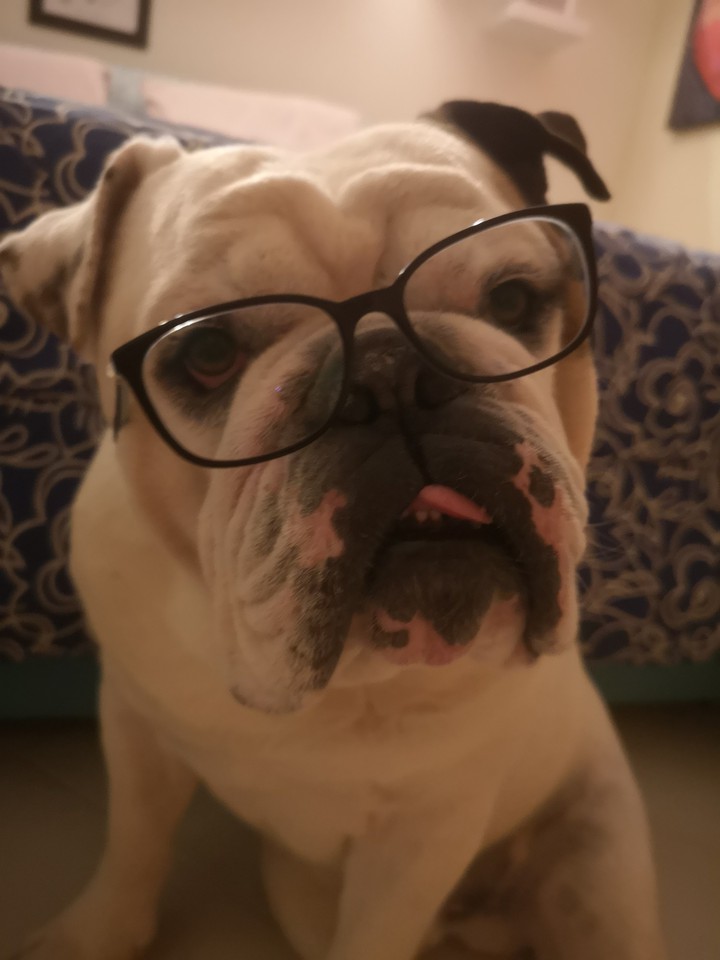 Oliver