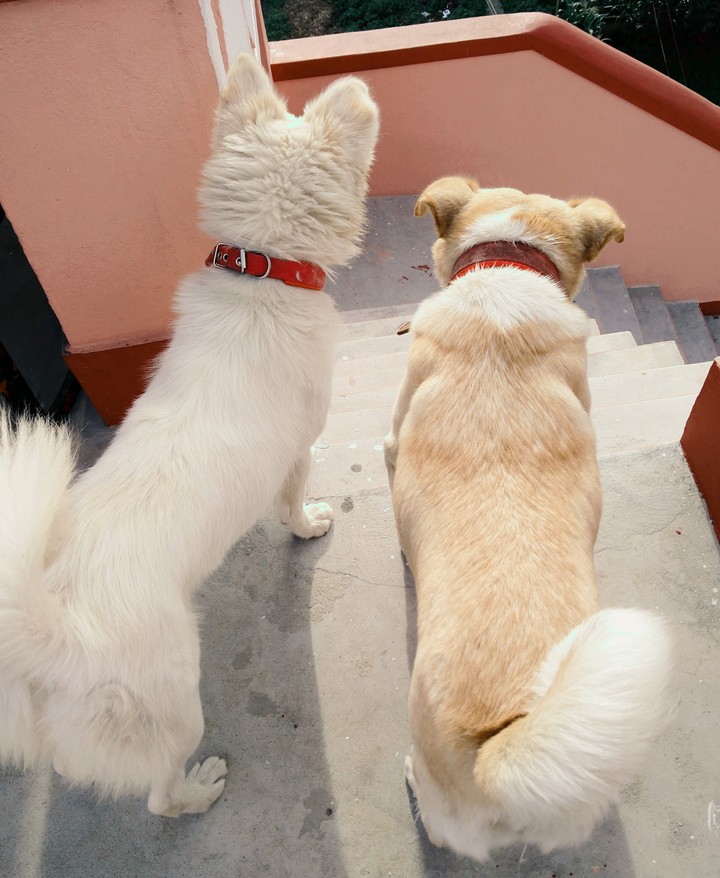 Where are you both  looking at?