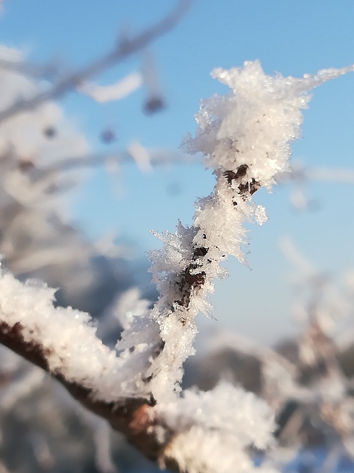 Snow