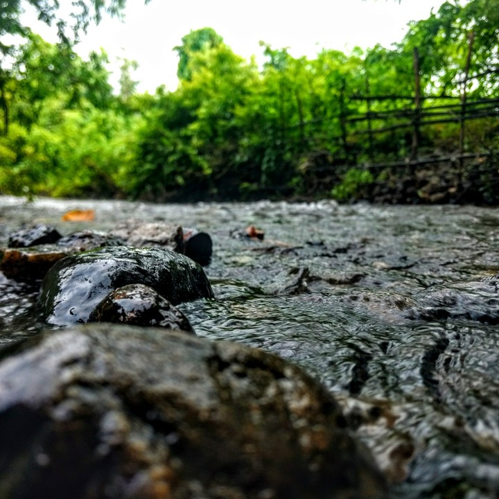 river water.  #river