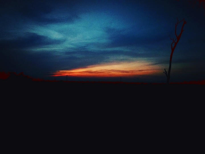 "Nature an artist inclaimed."