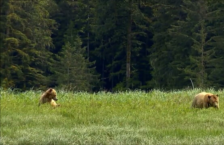 Natureza