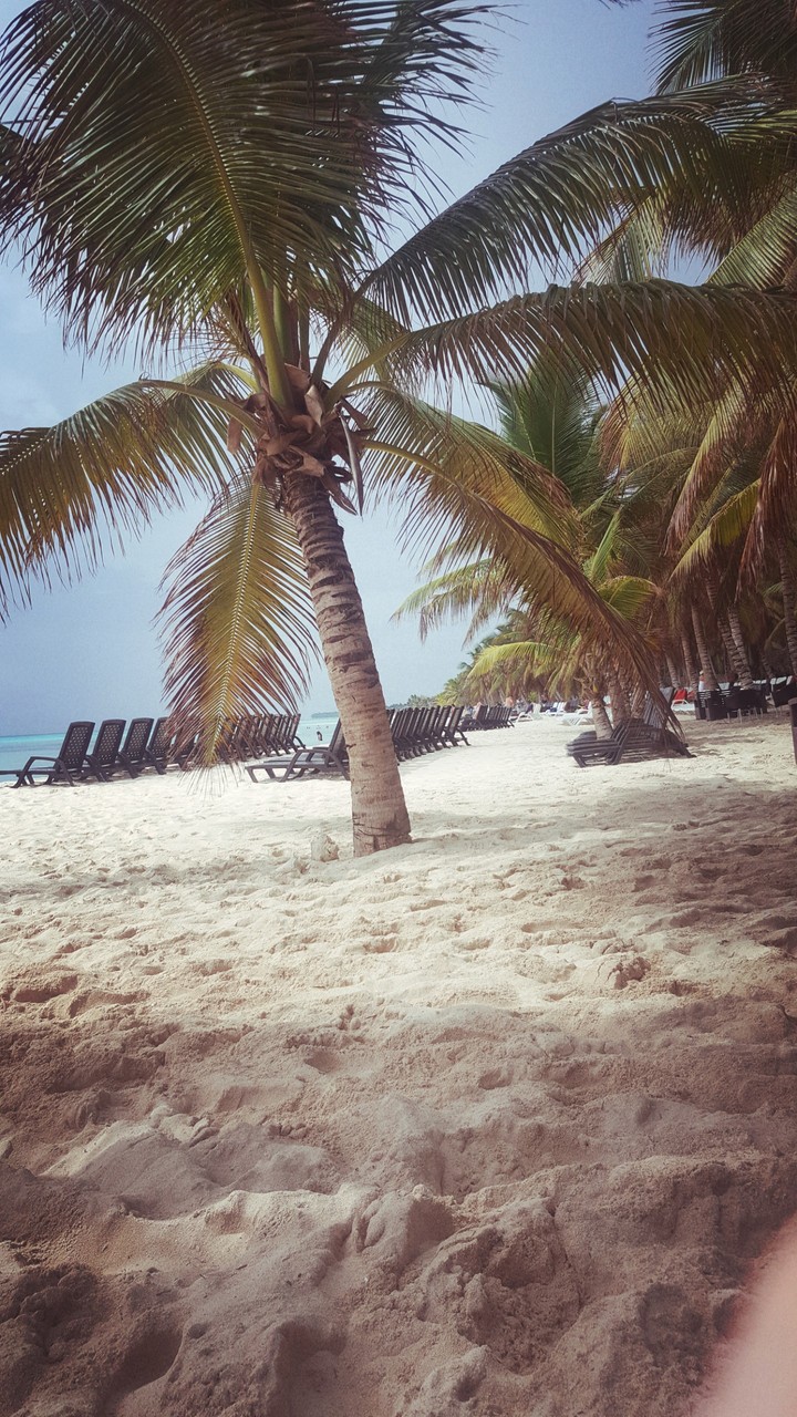 punta cana