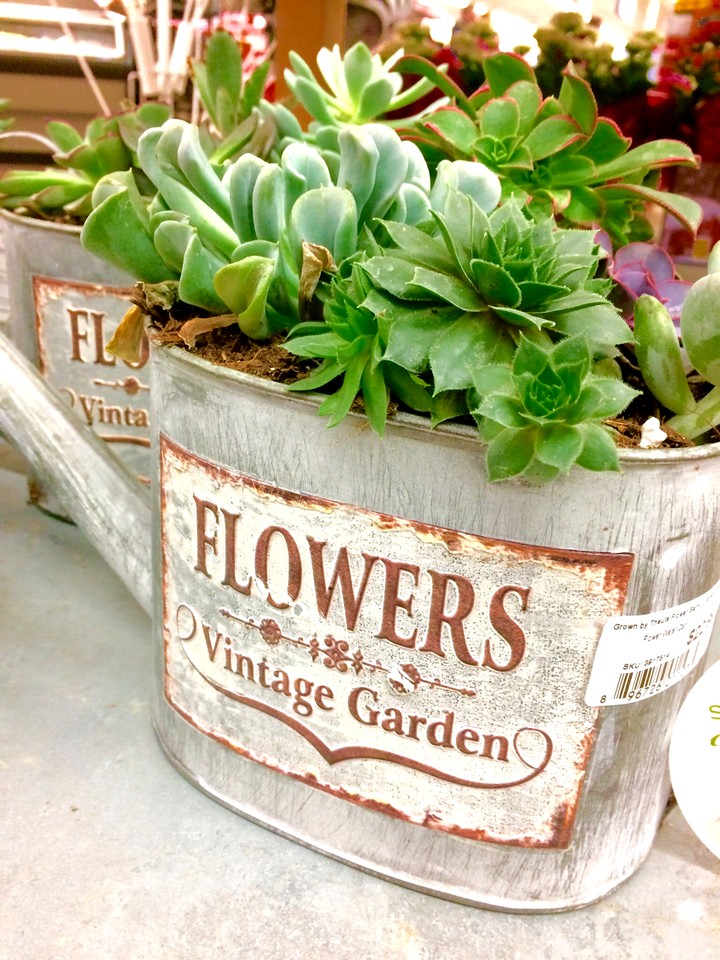 vintage garden flowers