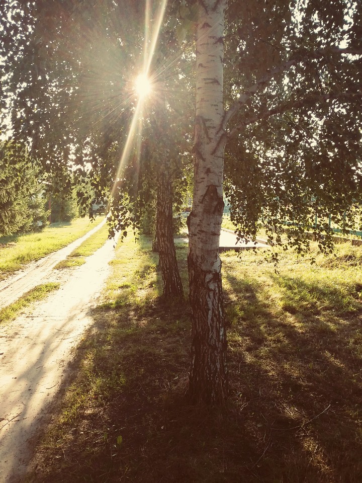 sunset